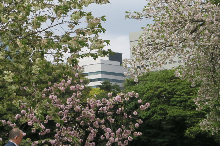e0292172_20203834.jpg