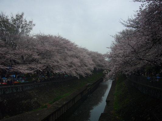 a0141884_17414347.jpg