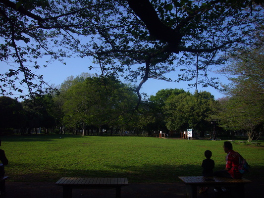 a0141884_17425874.jpg