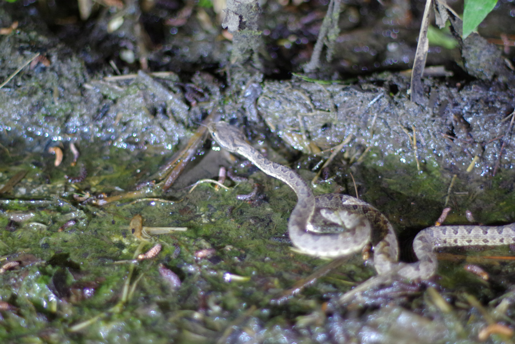 d0286391_1659019.jpg