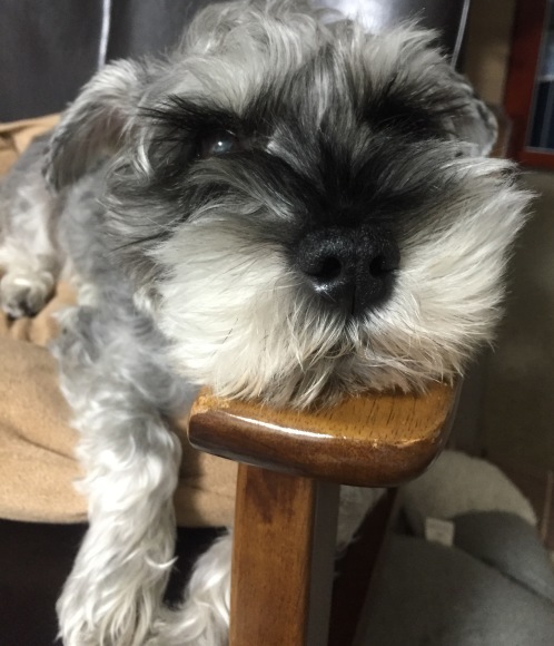b0188998_03053124.jpeg