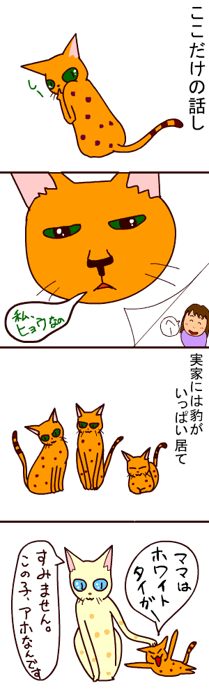 c0011300_20191864.gif