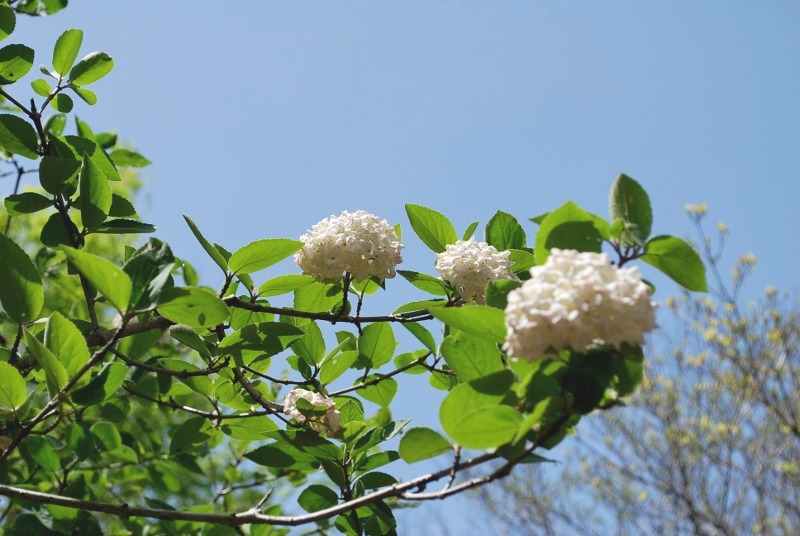 e0025300_16503748.jpg