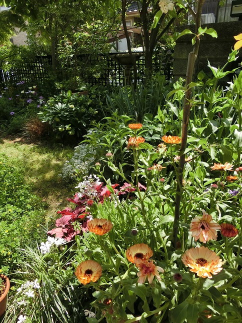 e0234004_18451977.jpg