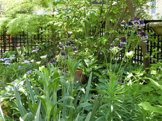 e0234004_18461075.jpg