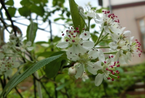 c0204121_14171657.jpg