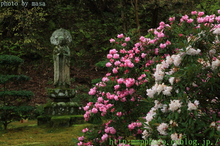 d0283427_20584920.jpg