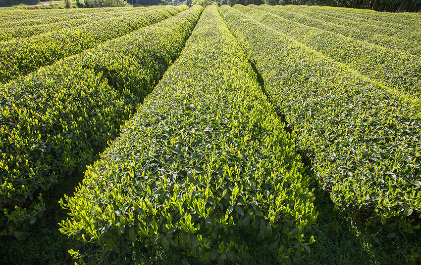d0147530_08000467.jpg