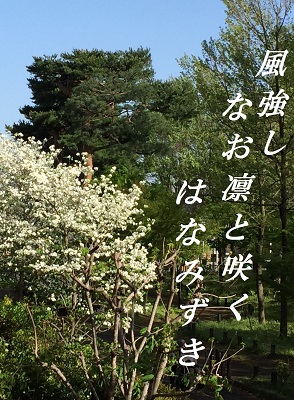 d0164636_7415590.jpg