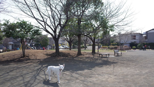 a0117039_22194395.jpg