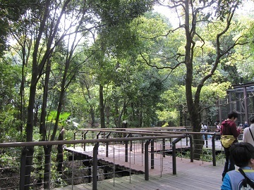 b0310842_15004519.jpg