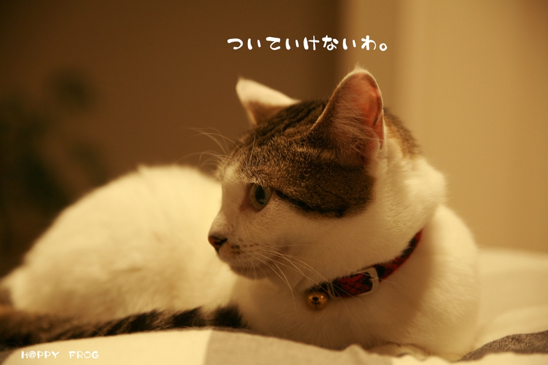f0032042_16474462.jpg