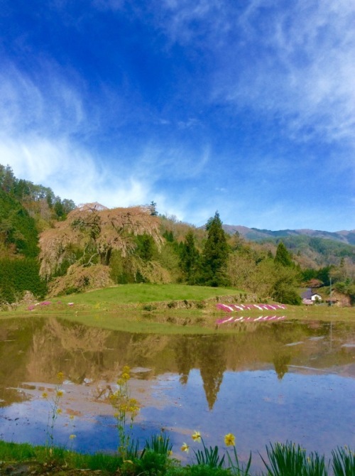 f0191444_12455554.jpg