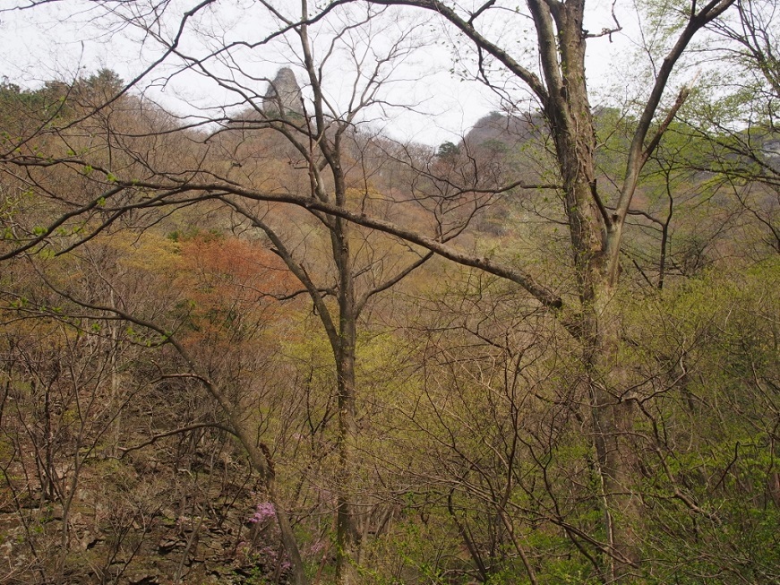 b0335256_11564736.jpg