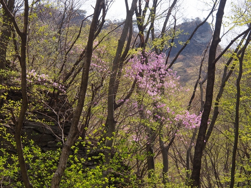 b0335256_12002613.jpg