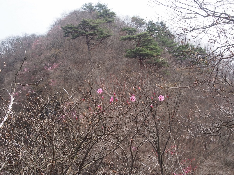 b0335256_12085091.jpg