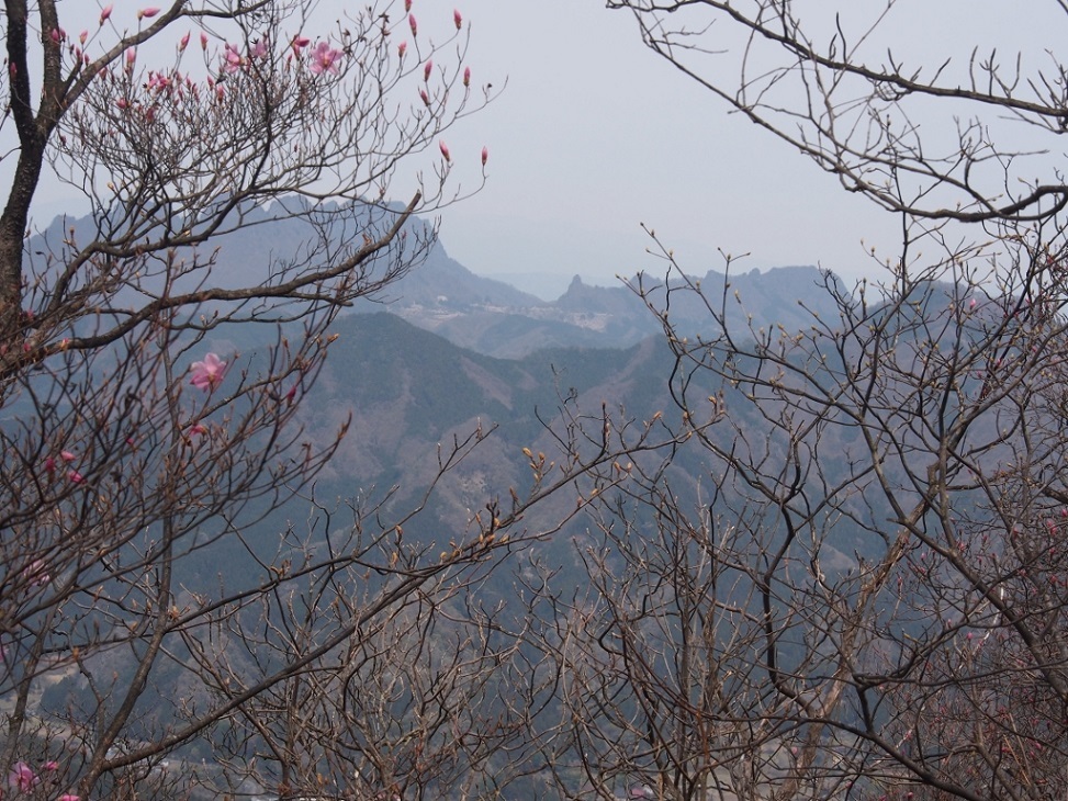 b0335256_12122350.jpg