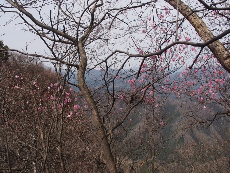 b0335256_12124101.jpg