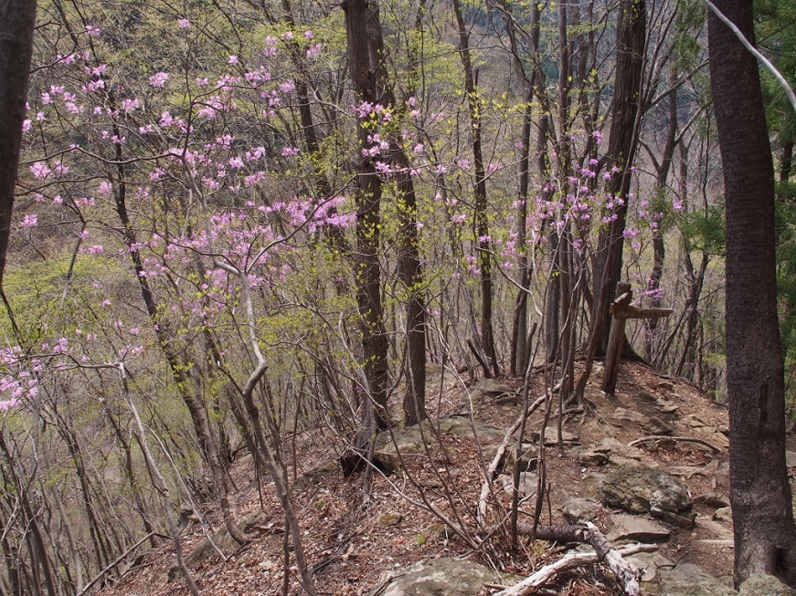 b0335256_12142101.jpg