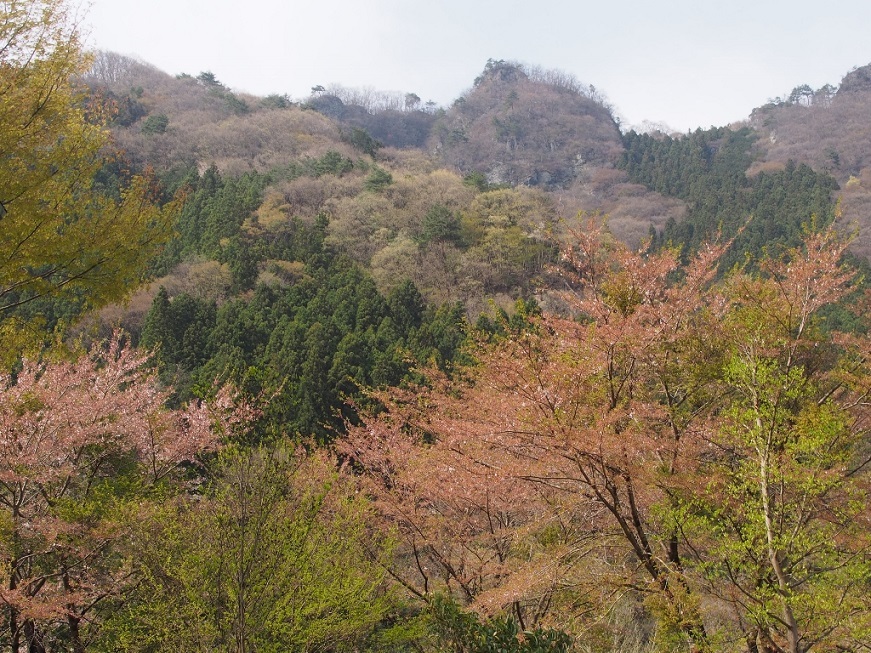b0335256_12143794.jpg