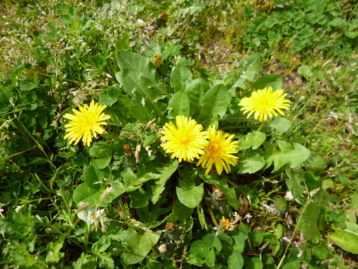 d0231858_20391142.jpg