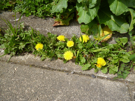 d0231858_2040879.jpg