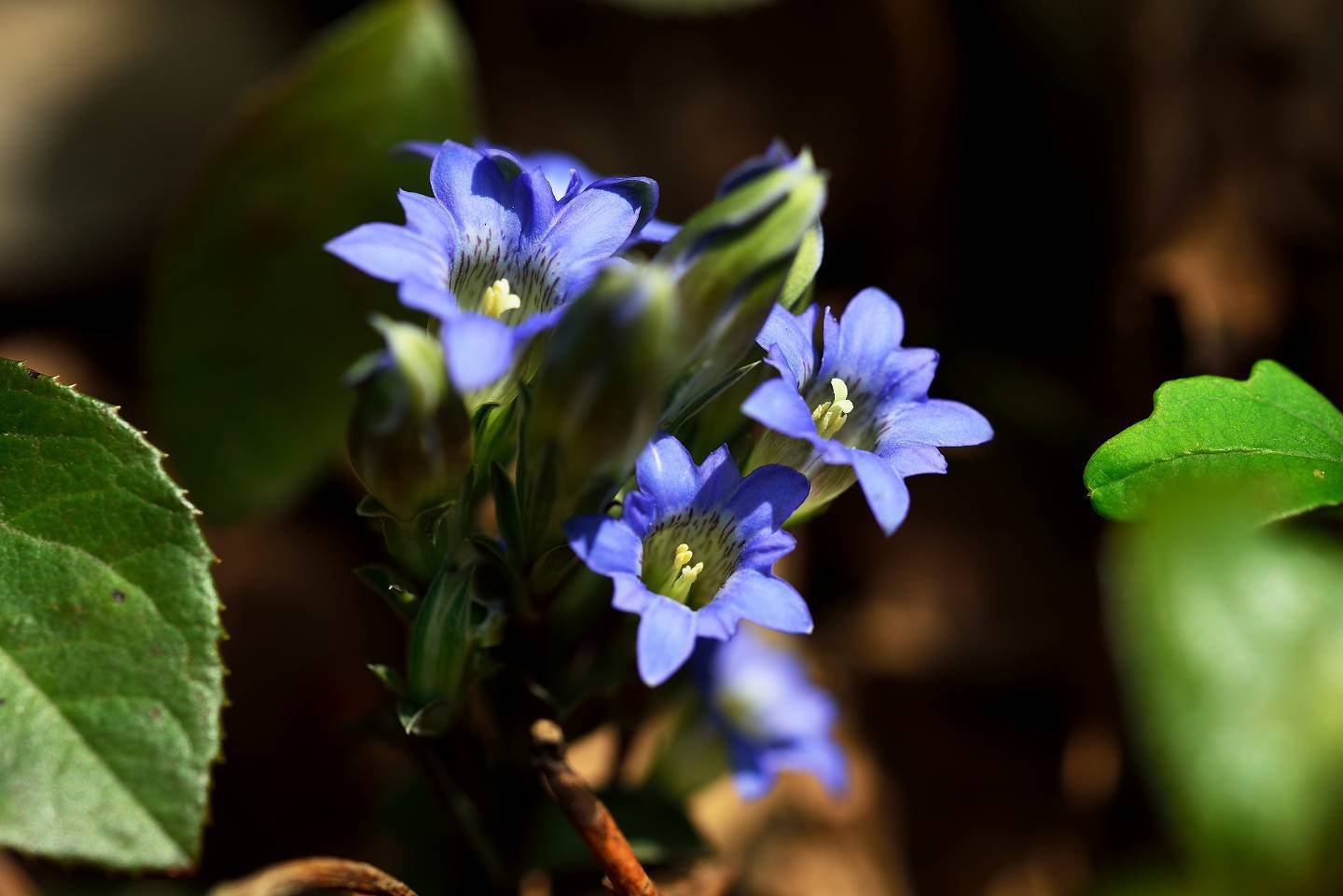 d0328977_00130858.jpg