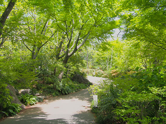 d0279493_23411973.jpg