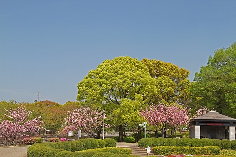 a0222494_1947653.jpg