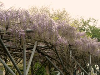 c0149195_21333635.jpg