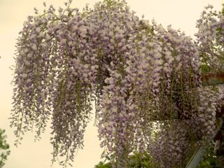 c0149195_21341164.jpg