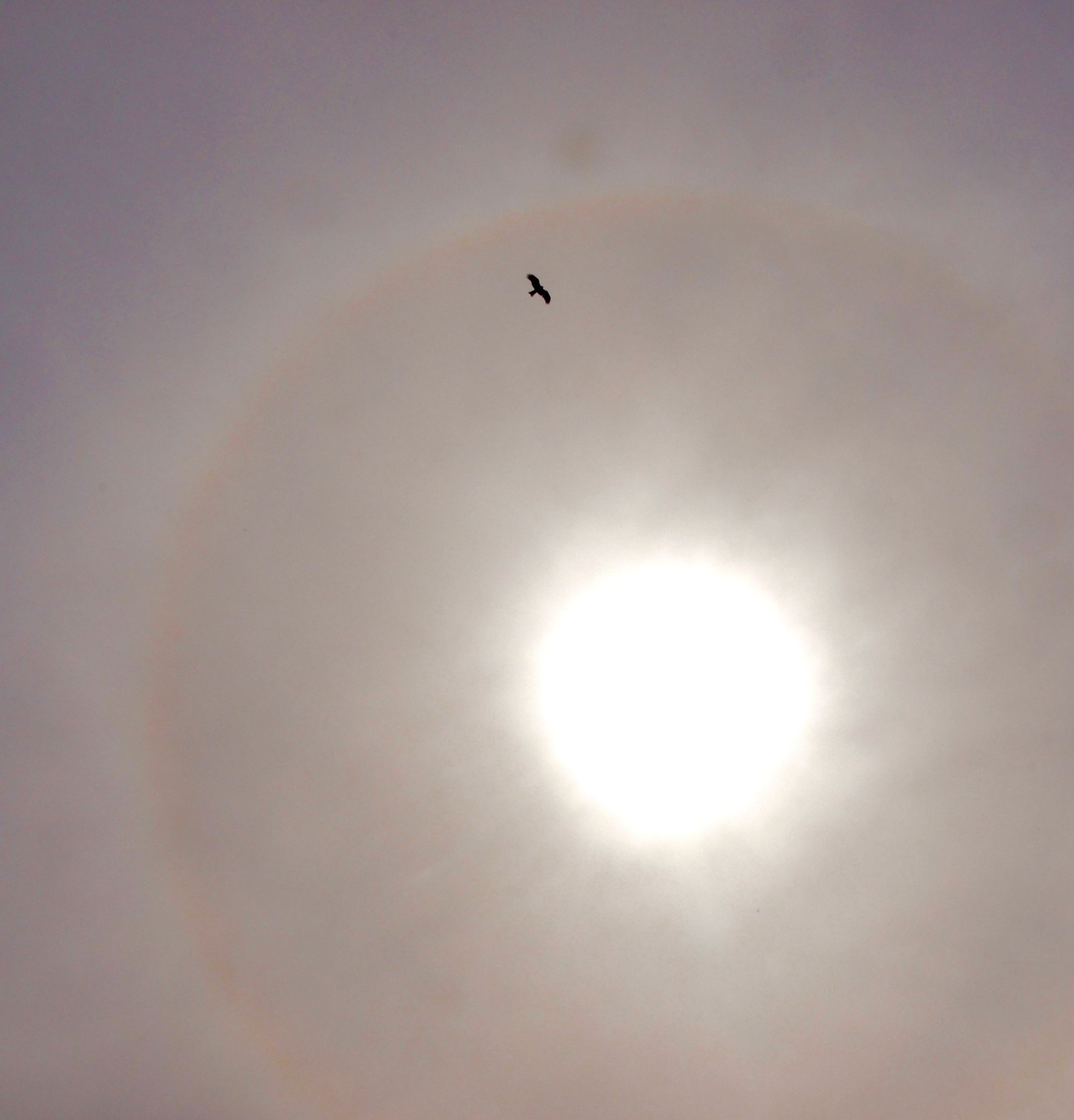 e0111396_11185345.jpg