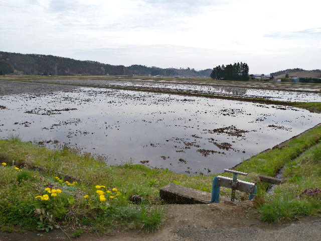 a0199297_10502163.jpg
