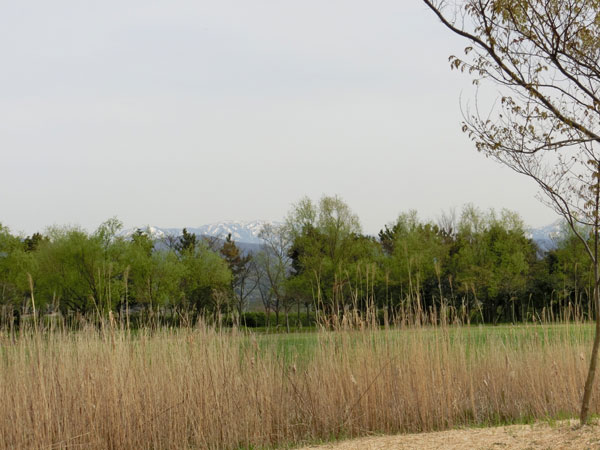 e0131399_0265165.jpg