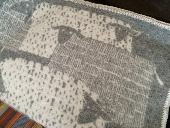 f0169799_18302627.jpg