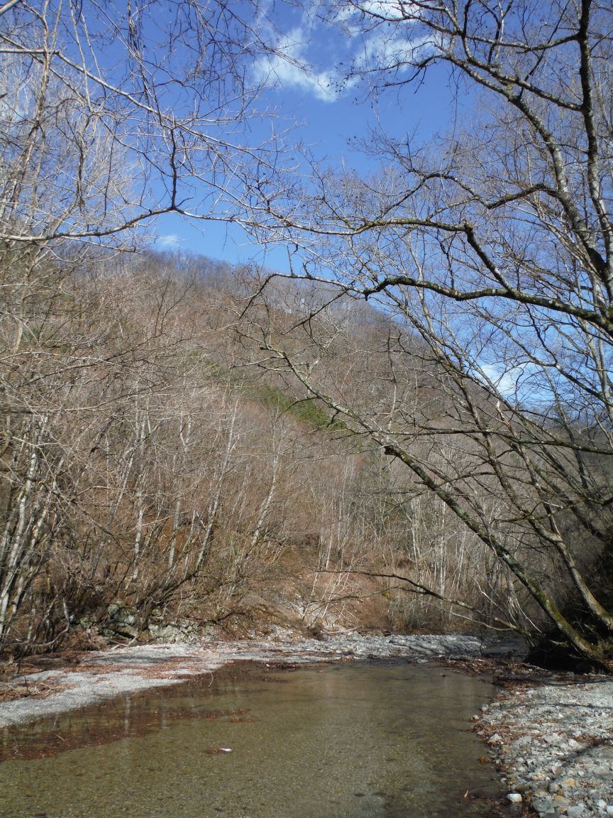 b0172805_350086.jpg