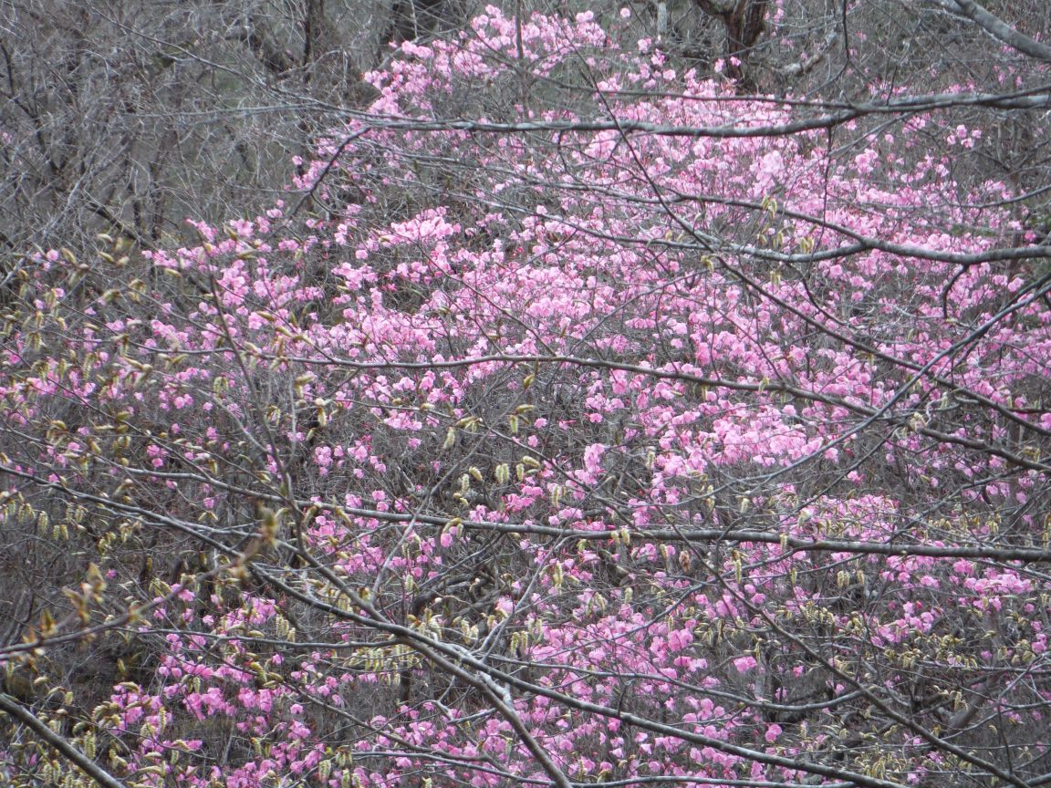 b0172805_412543.jpg