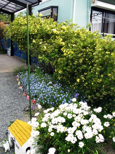 f0129726_21402537.jpg