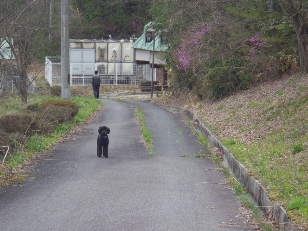 c0300035_8485896.jpg
