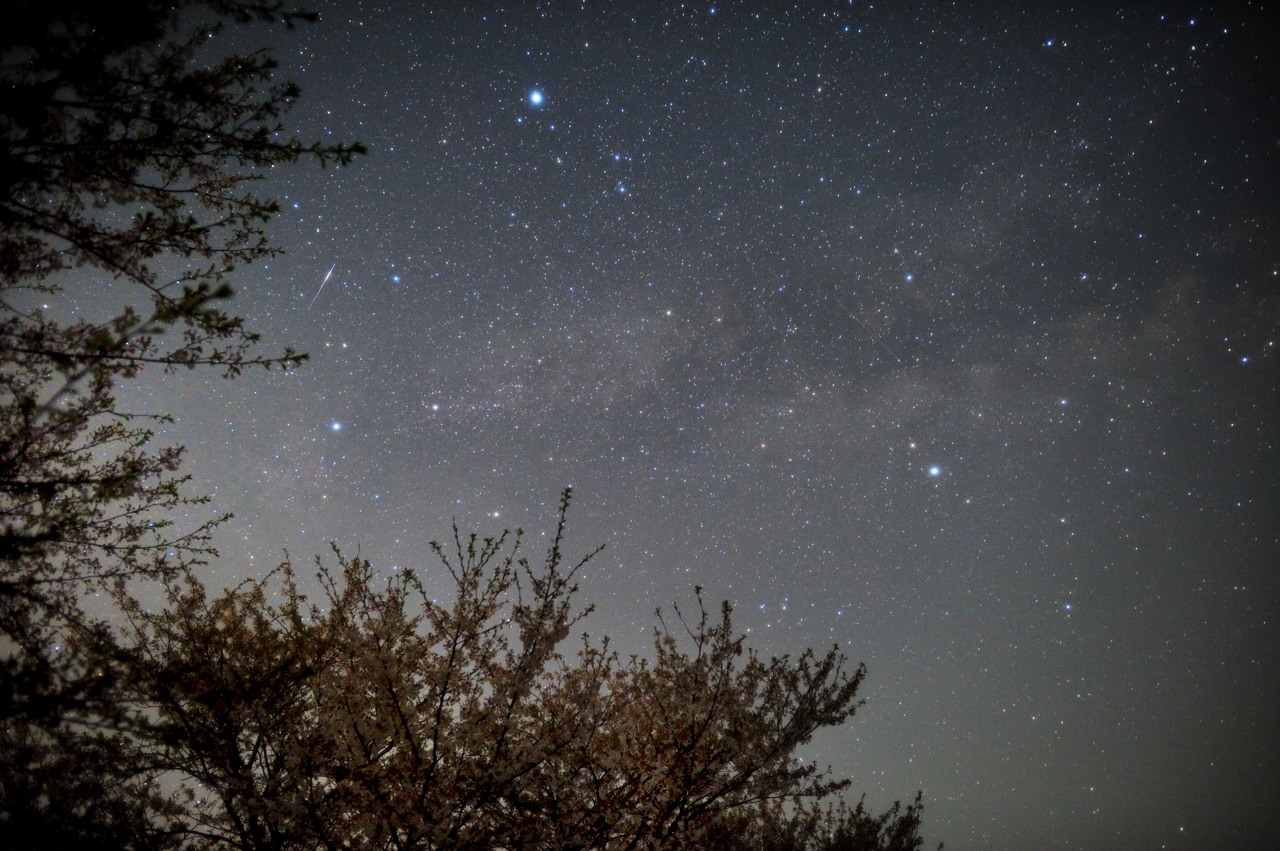 b0096536_8391660.jpg
