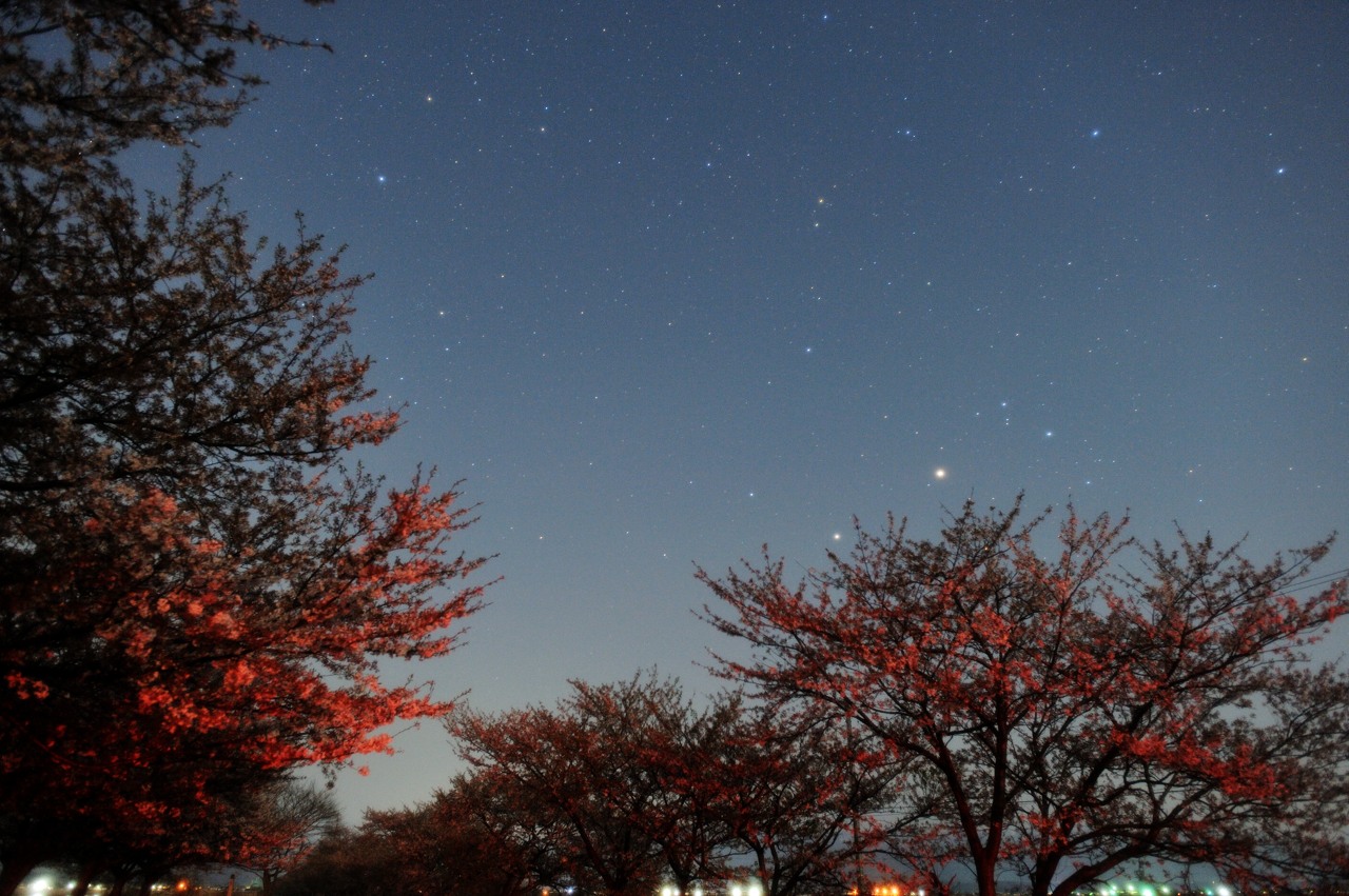 b0096536_8463644.jpg