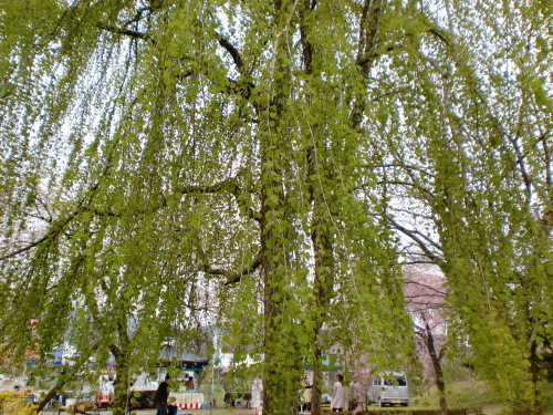 d0154954_10431039.jpg