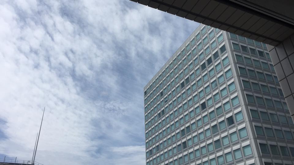 b0002156_11145212.jpg