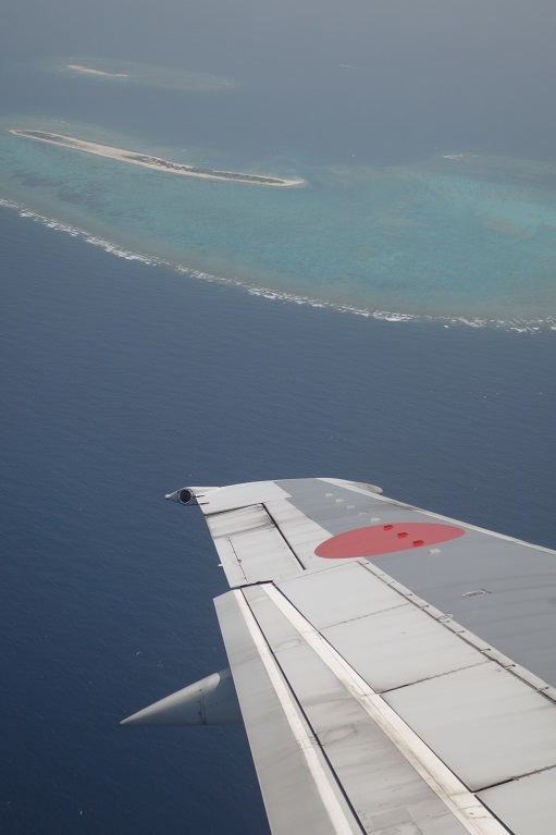 c0236857_13353838.jpg