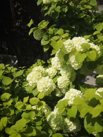 b0246758_21171072.jpg