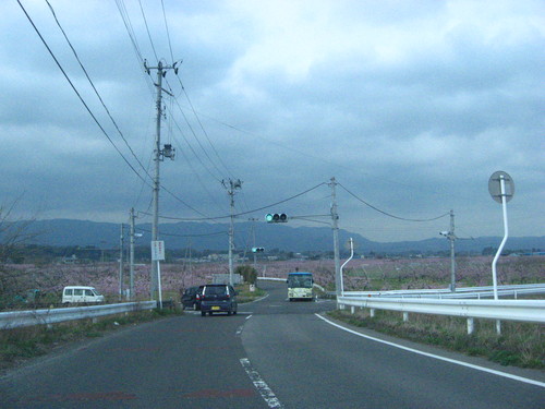 b0301459_829738.jpg