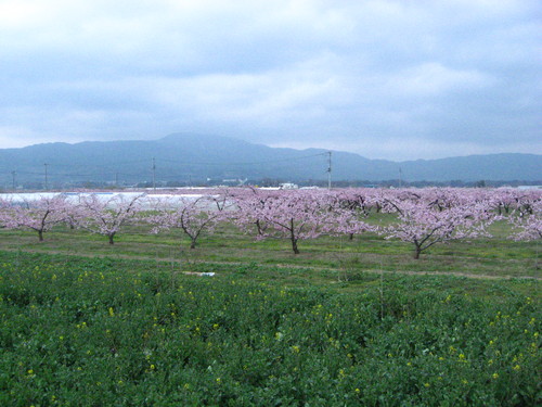 b0301459_8331899.jpg
