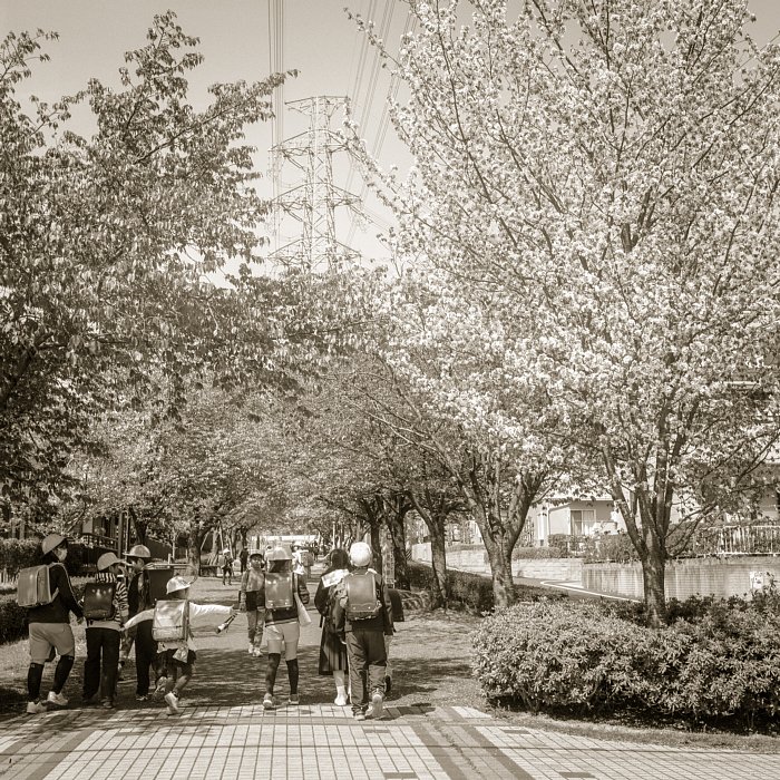 b0175964_20411235.jpg