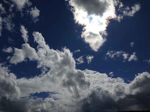 f0099367_16335534.jpg