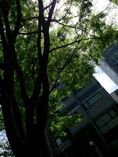 b0223370_08344793.jpg